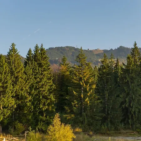 Nature Retreat 2 Bedroom Silver Mountain Apartment *